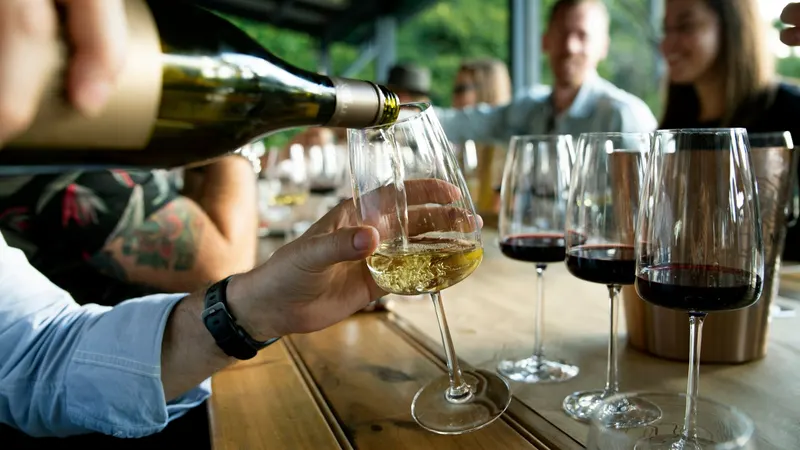 Vino servido en una copa en una barra de cata, con copas de vino tinto sobre la barra